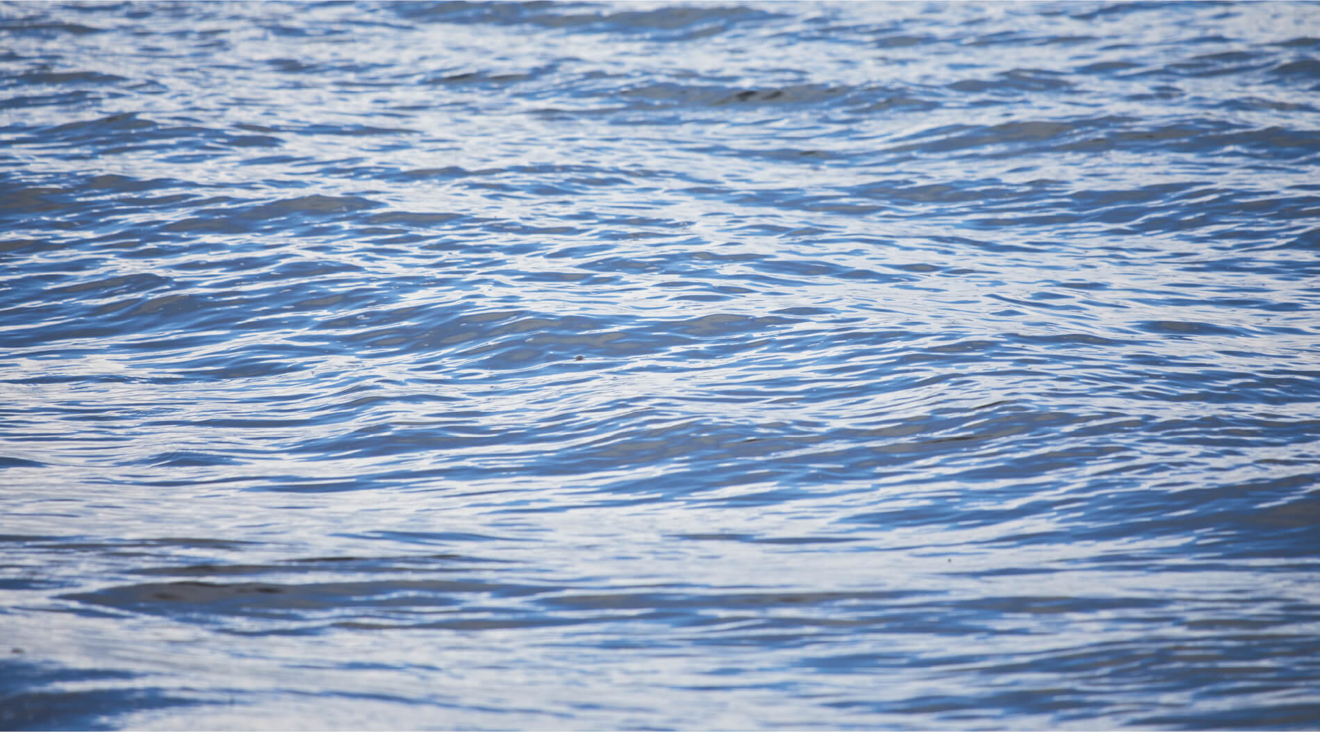 海の弔いのイメージ